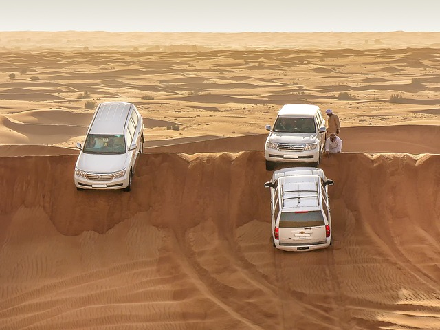 Read more about the article Desert Safari Dubai