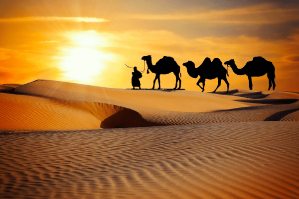 Desert_Safari_Camel_Riding