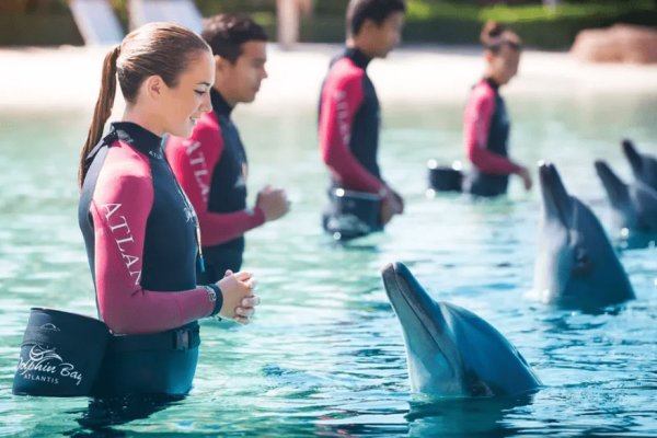 Dolphin_Swim_Aquaventure_Waterpark_Dubai